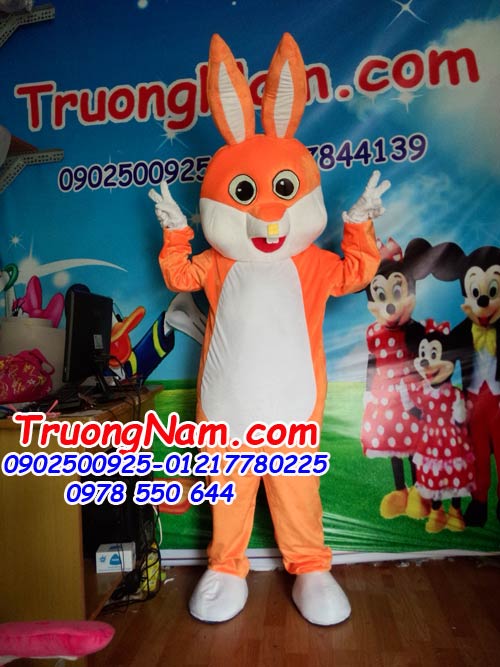 TN066-Chuyen-san-xuat-mascot-dep-Cho-thue-roi-dien-gia-re-0902500925. (83).