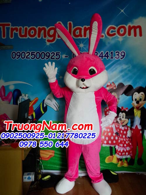 TN069-Chuyen-san-xuat-mascot-dep-Cho-thue-roi-dien-gia-re-0902500925. (42).