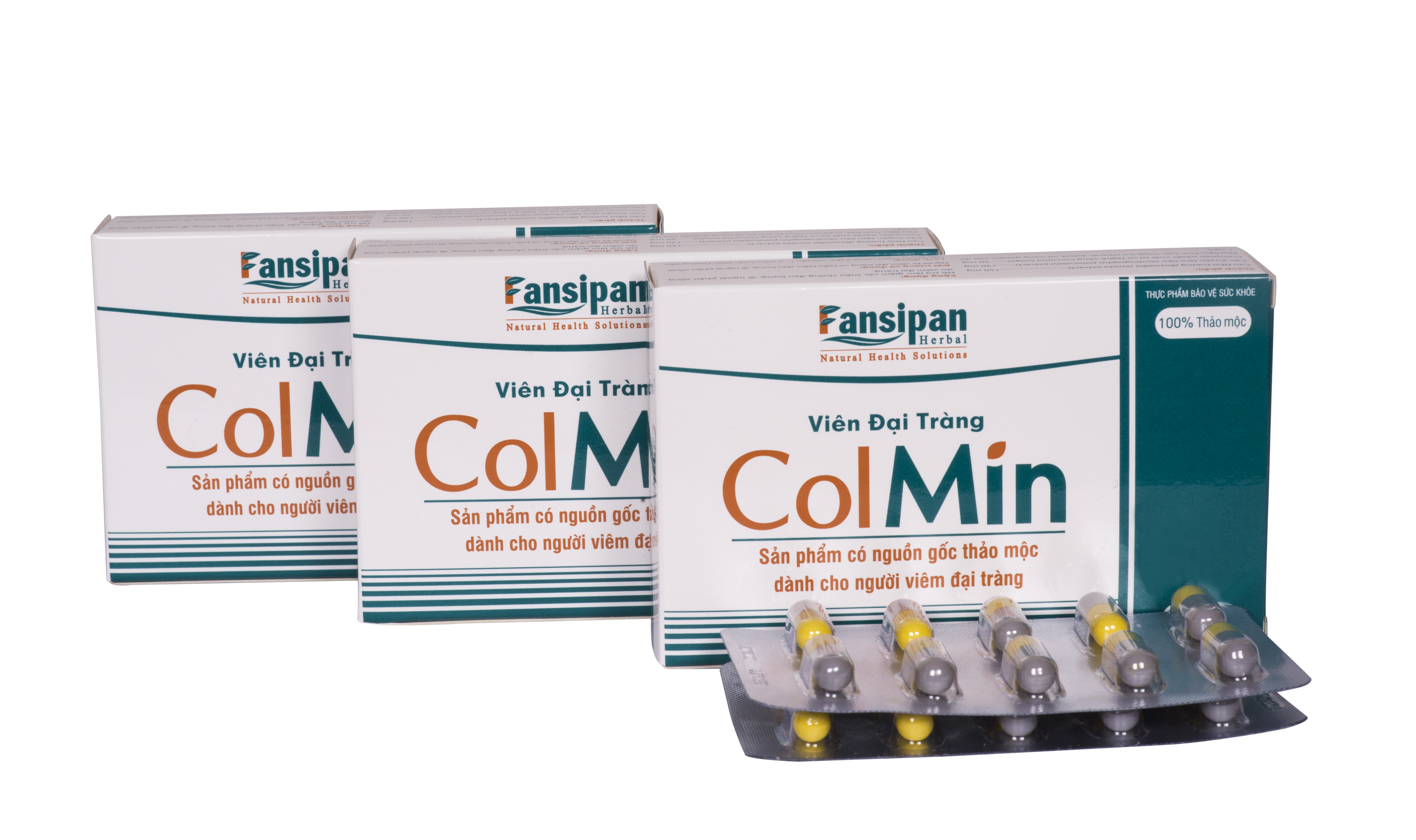 Viên Đại Tràng Colmin giải pháp đặc hiệu cho bệnh đại tràng 2.
