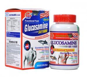 15. Glucosamine sit 1600.